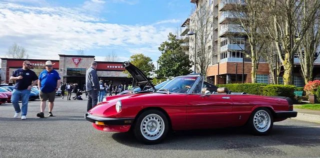 1984 Alfa Romeo Spider Veloce