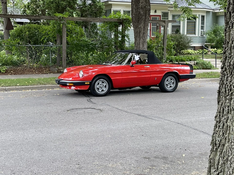 1984 Alfa Romeo Series 3 - Image 10 of 31