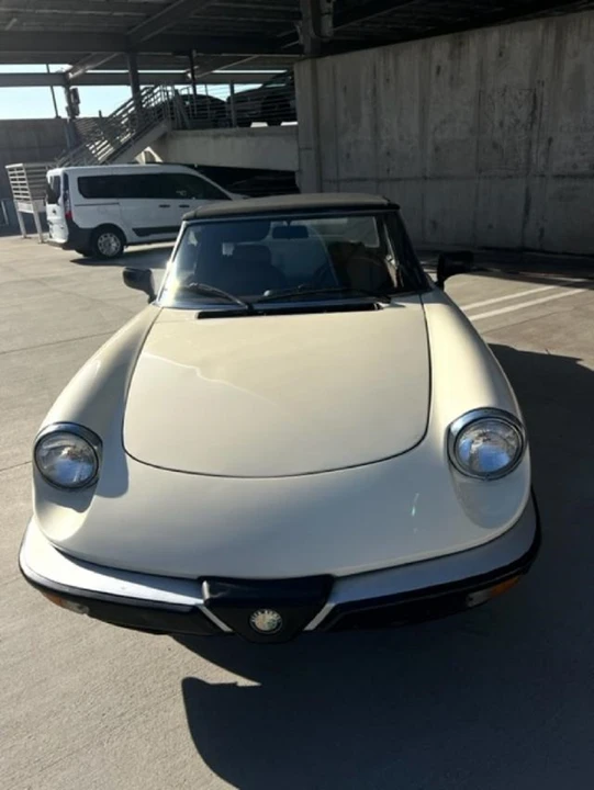 1984 Alfa Romeo Series 3 - Image 11 of 31