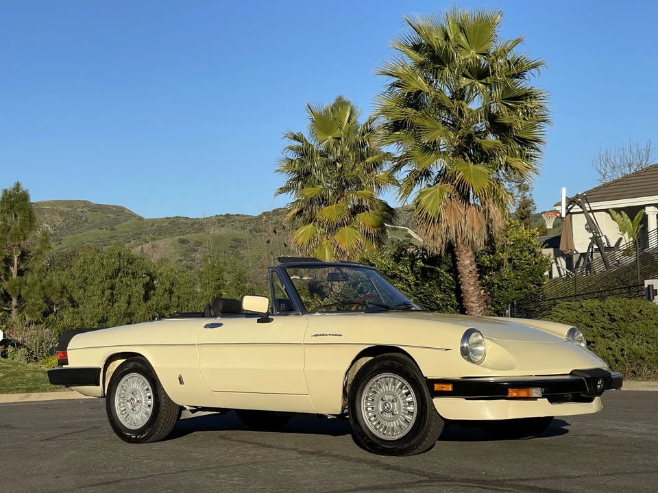1984 Alfa Romeo Series 3 - Image 14 of 31