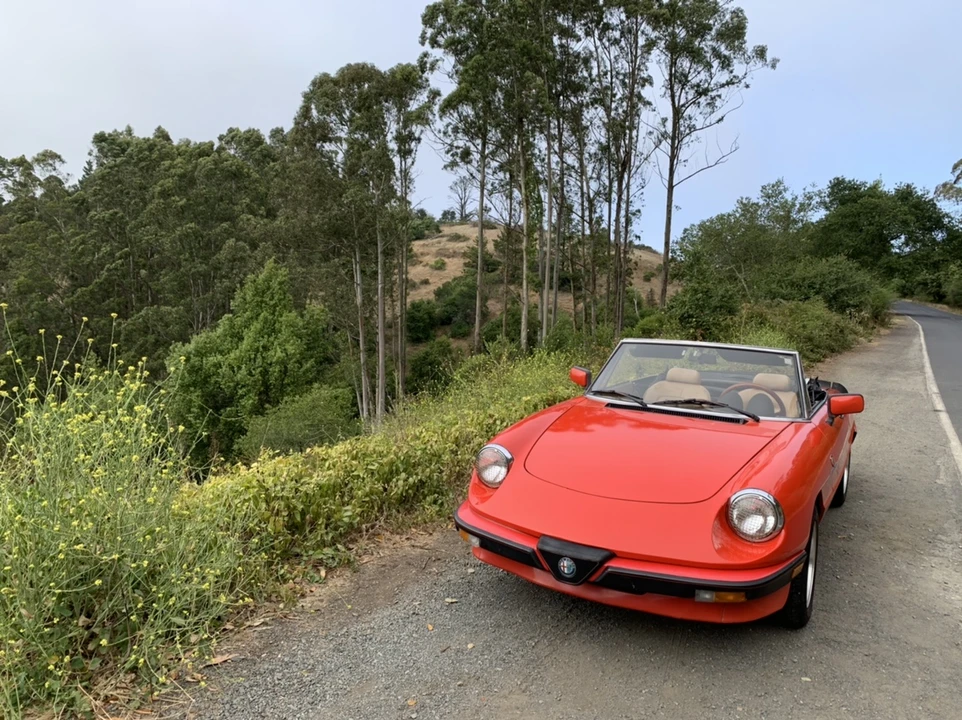 1984 Alfa Romeo Series 3 - Image 3 of 31