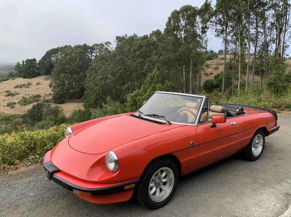 1984 Alfa Romeo Series 3 - Image 4 of 31