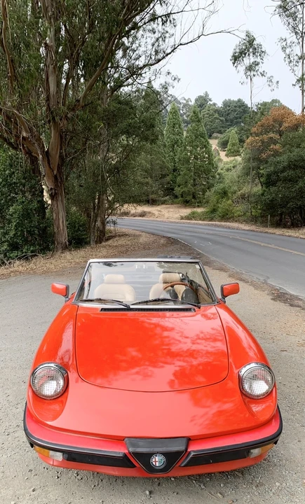 1984 Alfa Romeo Series 3 - Image 19 of 31