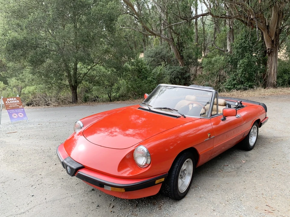 1984 Alfa Romeo Series 3 - Image 13 of 31