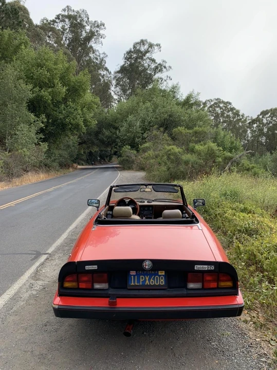 1984 Alfa Romeo Series 3 - Image 8 of 31
