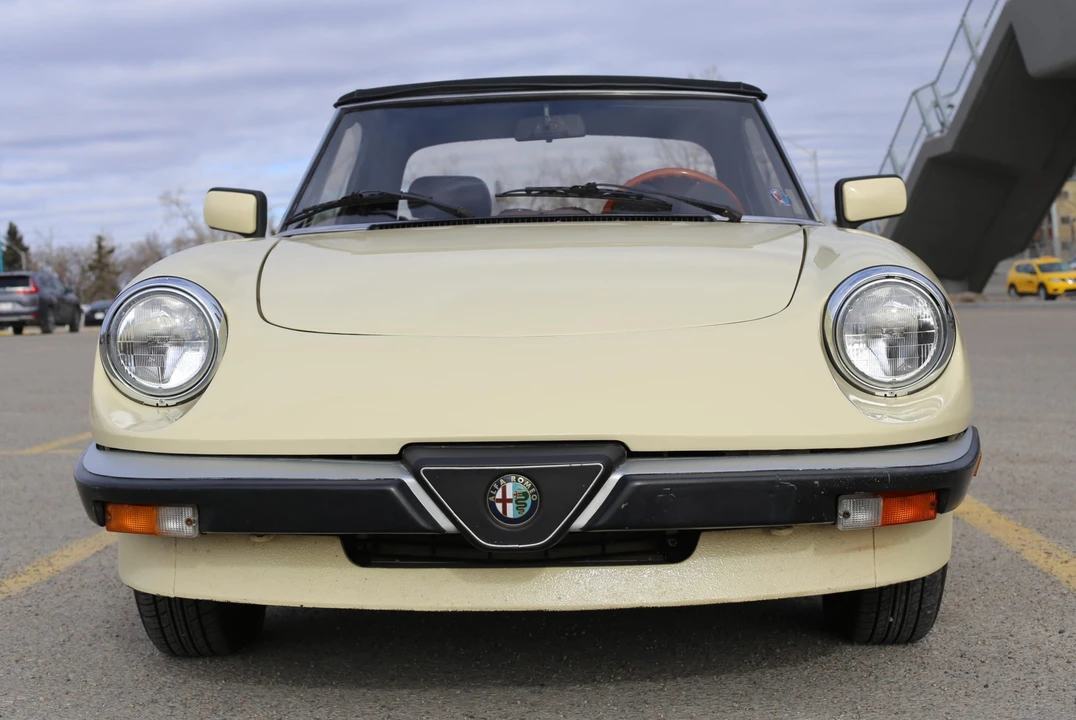1984 Alfa Romeo Series 3 - Image 13 of 31