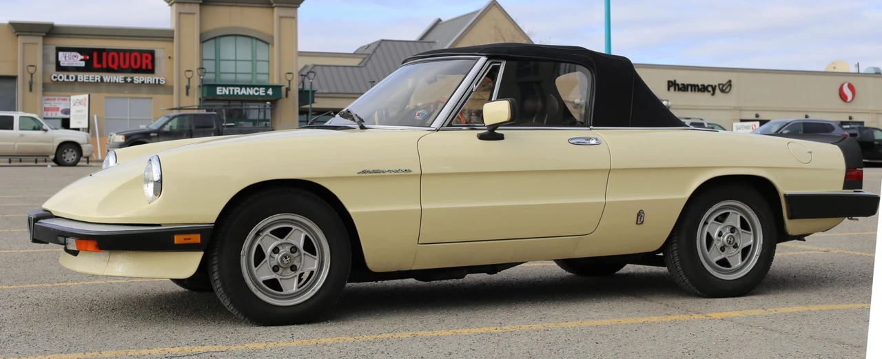 1984 Alfa Romeo Series 3 - Image 9 of 31