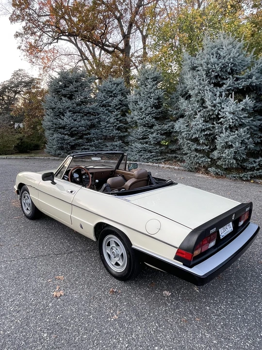 1984 Alfa Romeo Series 3 - Image 10 of 31