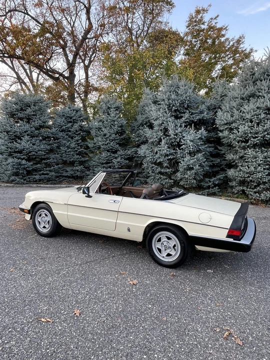 1984 Alfa Romeo Series 3 - Image 9 of 31