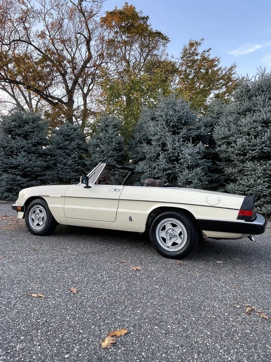 1984 Alfa Romeo Series 3 - Image 8 of 31