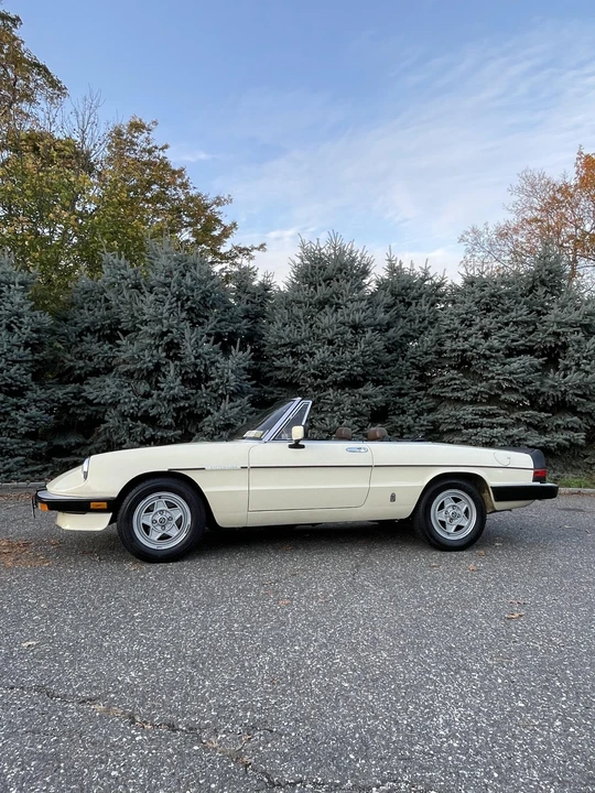 1984 Alfa Romeo Series 3 - Image 6 of 31