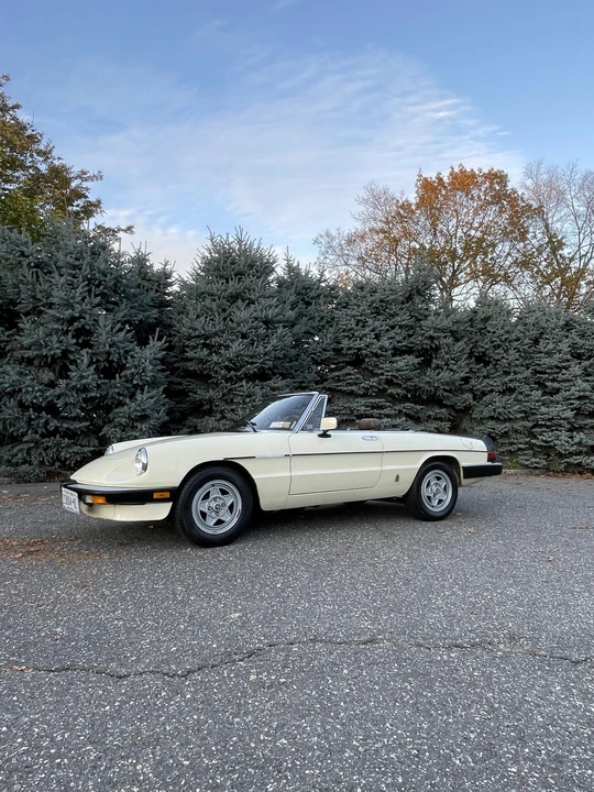 1984 Alfa Romeo Series 3 - Image 5 of 31