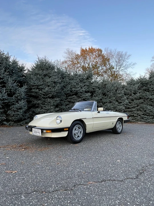 1984 Alfa Romeo Series 3 - Image 4 of 31