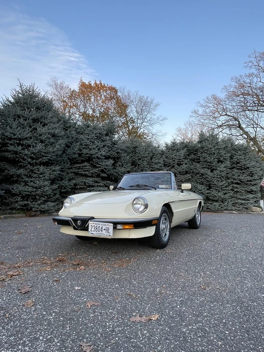 1984 Alfa Romeo Series 3 - Image 3 of 31