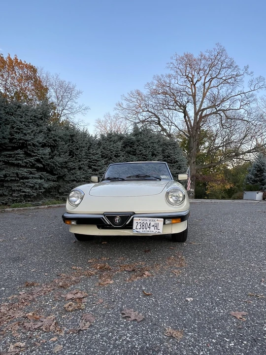1984 Alfa Romeo Series 3 - Image 2 of 31