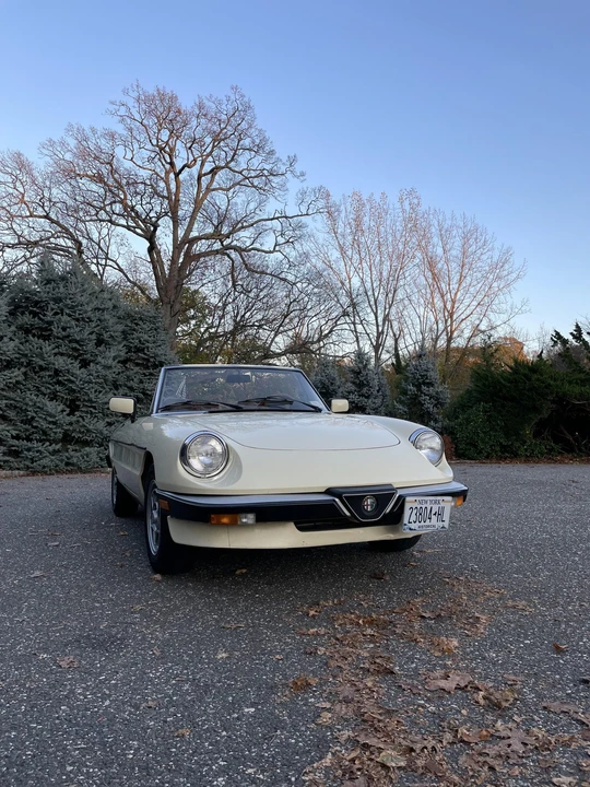 1984 Alfa Romeo Series 3 - Image 31 of 31