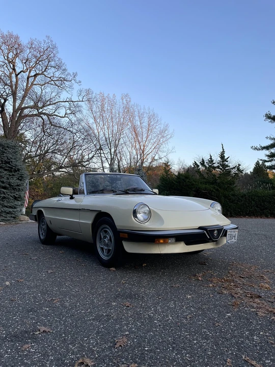1984 Alfa Romeo Series 3 - Image 30 of 31