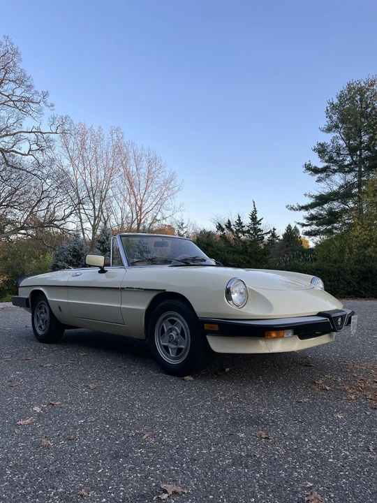 1984 Alfa Romeo Series 3 - Image 29 of 31