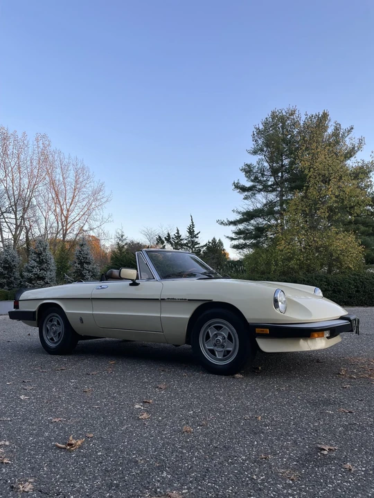 1984 Alfa Romeo Series 3 - Image 27 of 31