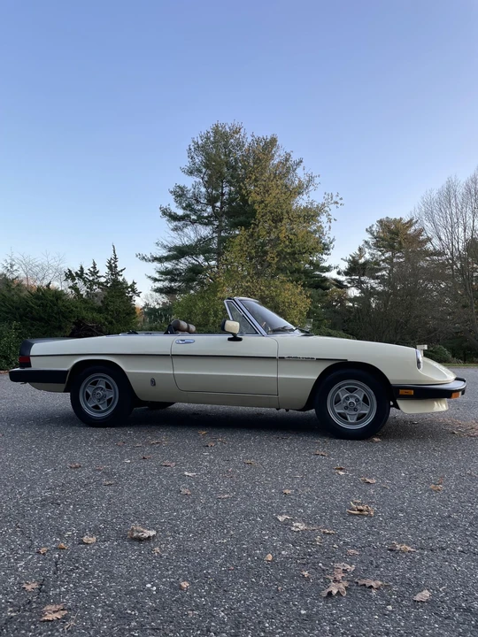 1984 Alfa Romeo Series 3 - Image 25 of 31