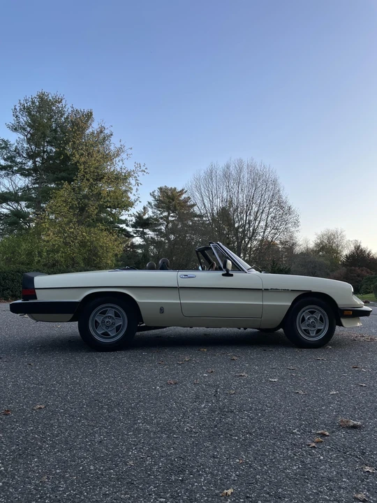 1984 Alfa Romeo Series 3 - Image 24 of 31