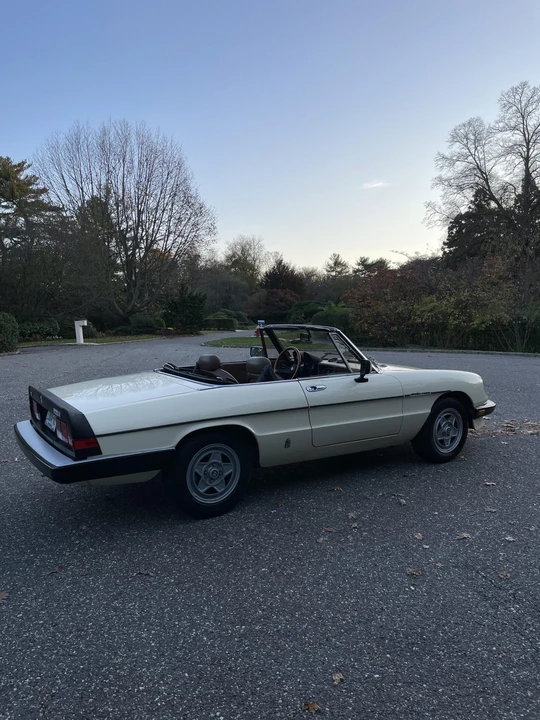 1984 Alfa Romeo Series 3 - Image 23 of 31