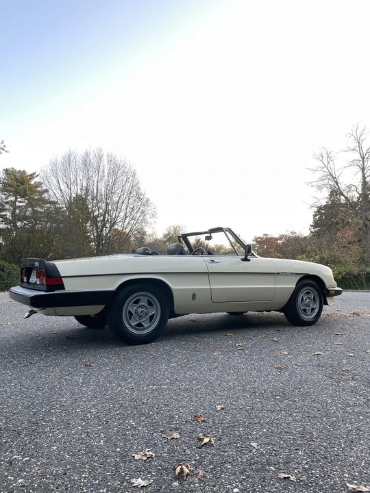 1984 Alfa Romeo Series 3 - Image 22 of 31