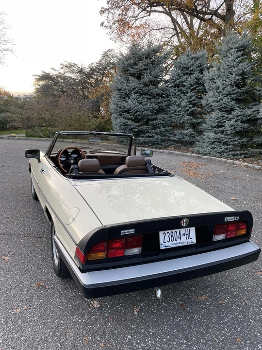 1984 Alfa Romeo Series 3 - Image 16 of 31