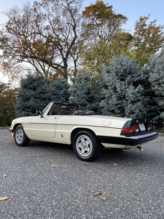 1984 Alfa Romeo Series 3 - Image 14 of 31
