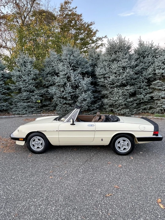 1984 Alfa Romeo Series 3 - Image 12 of 31