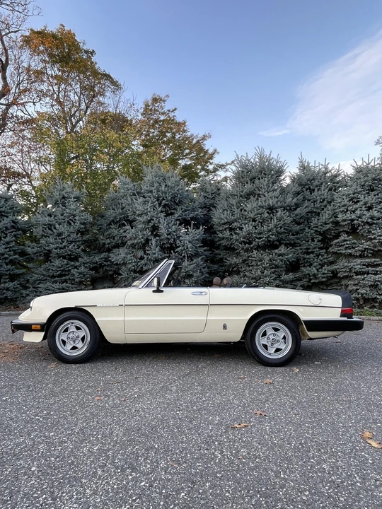 1984 Alfa Romeo Series 3 - Image 11 of 31