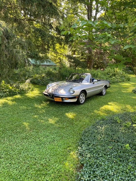 1984 Alfa Romeo Series 3 - Image 8 of 31