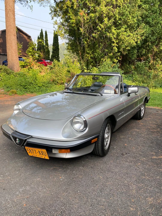 1984 Alfa Romeo Series 3 - Image 9 of 31