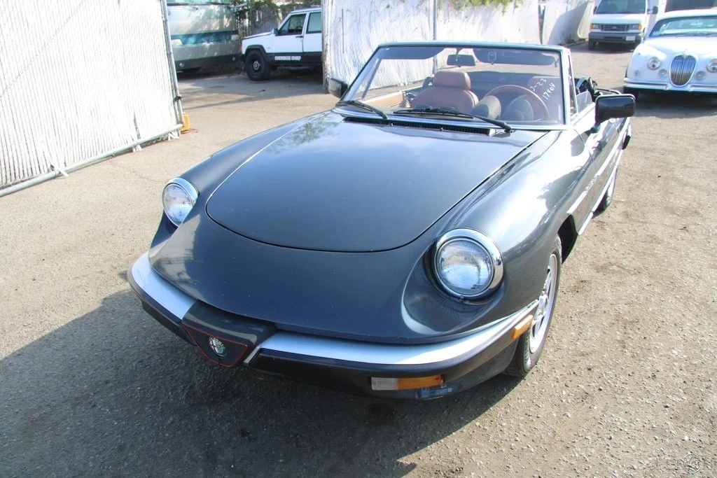 1984 Alfa Romeo Series 3 - Image 2 of 21