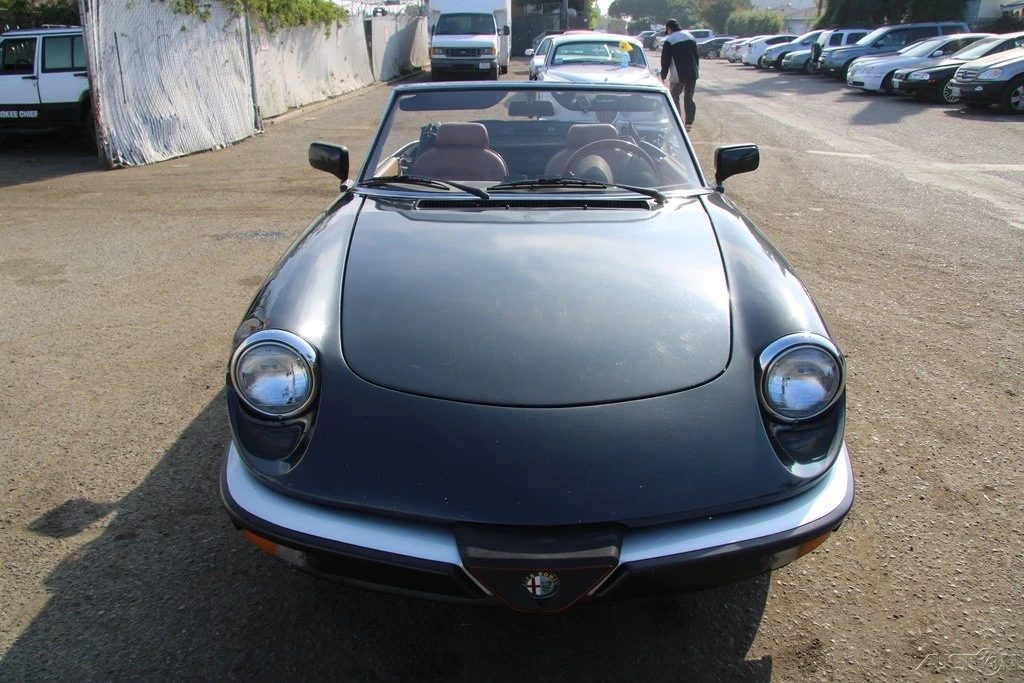 1984 Alfa Romeo Series 3 - Image 12 of 21