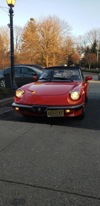 1984 Alfa Romeo Series 3 - Image 4 of 31