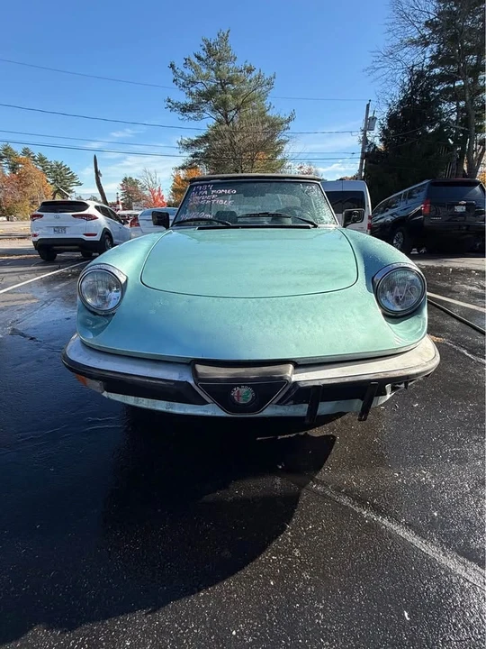 1984 Alfa Romeo Series 3 - Image 11 of 13
