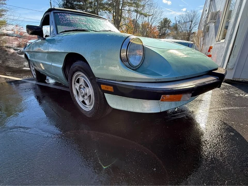 1984 Alfa Romeo Series 3 - Image 12 of 13