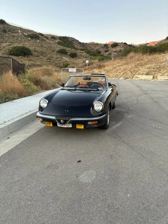 1984 Alfa Romeo Series 3 - Image 3 of 3
