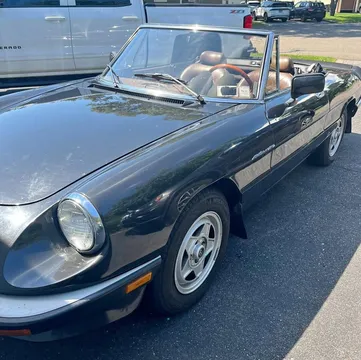1984 Alfa Romeo Spider Veloce