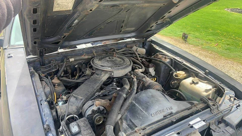 1984 Ford Mustang 3rd Gen - Image 10 of 20