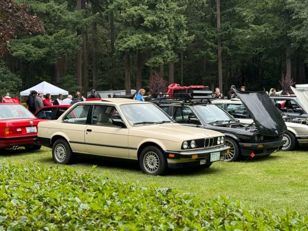 1984 BMW E30 3 Series - Image 10 of 11
