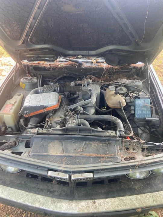1984 BMW E28 5 Series - Image 2 of 12