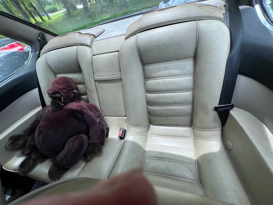 1984 BMW E24 6 Series - Image 14 of 24