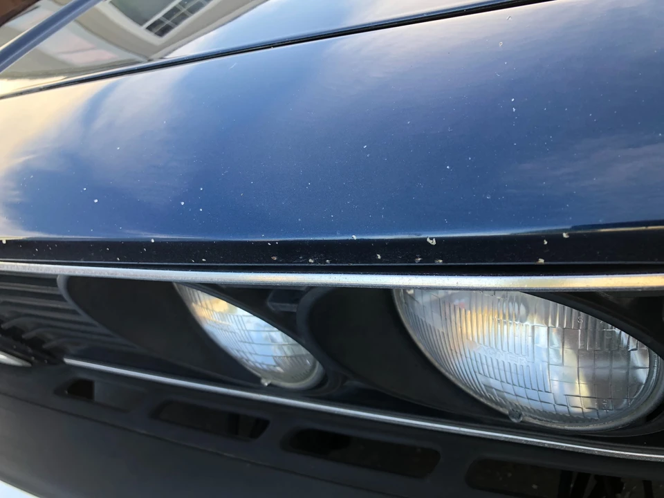1984 BMW E24 6 Series - Image 18 of 31