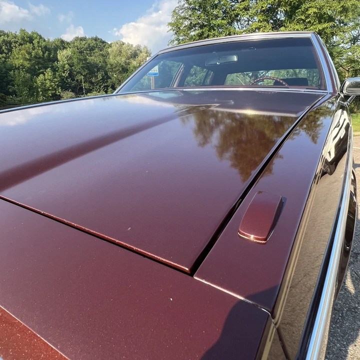 1984 Buick Electra - Image 23 of 31