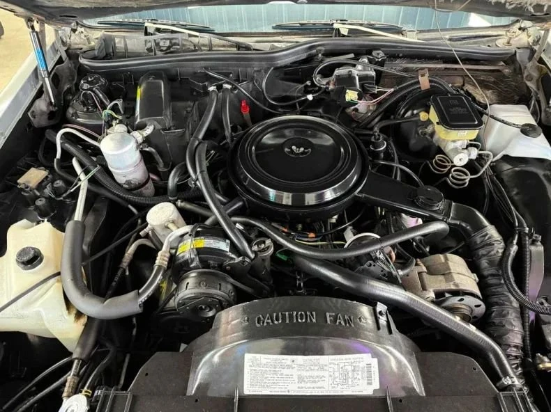 1984 Buick LeSabre - Image 23 of 28