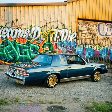1984 Buick Regal Limited Coupe 2D