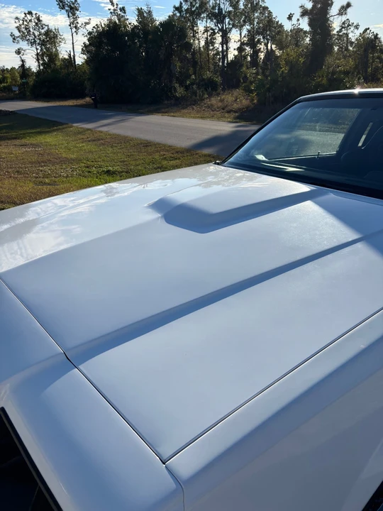 1984 Buick Regal - Image 10 of 21