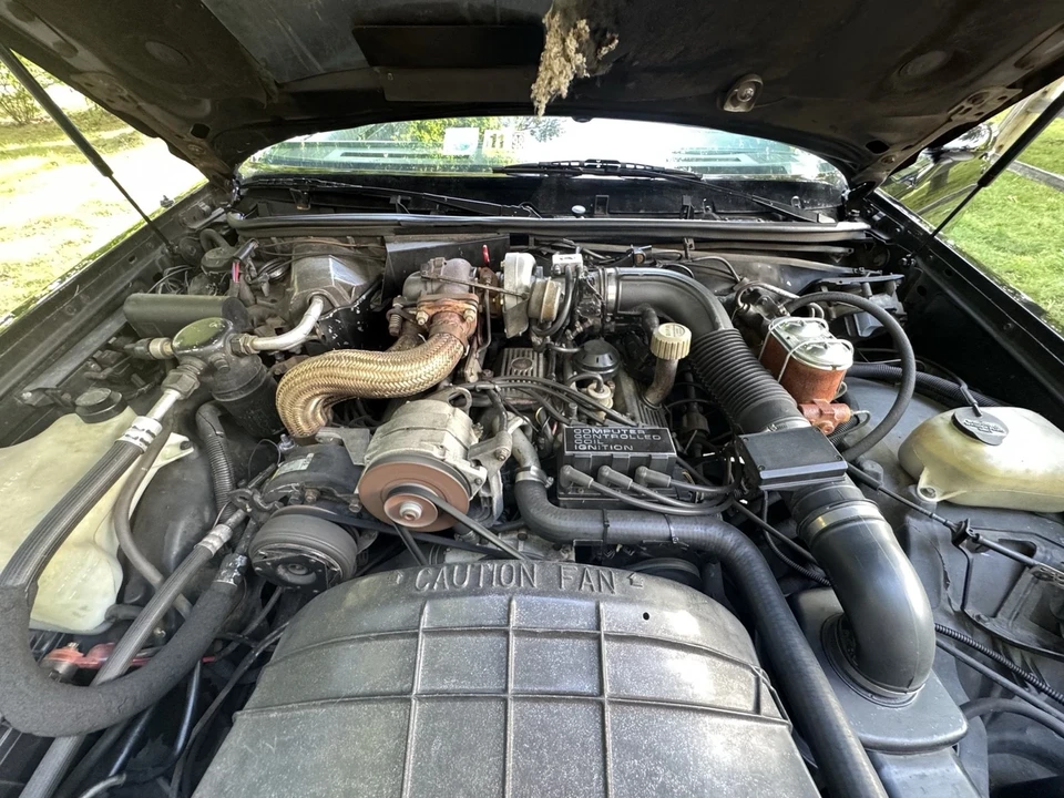 1984 Buick Regal - Image 18 of 19